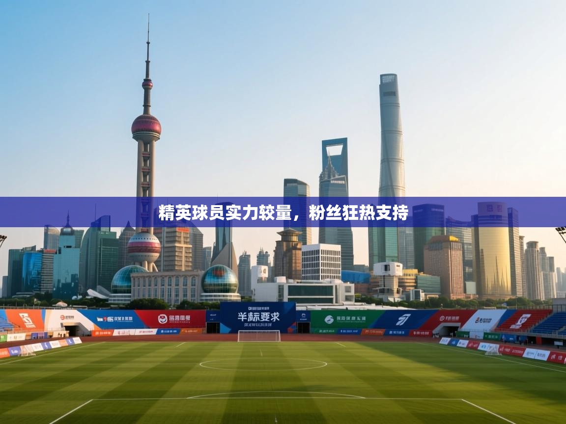 精英球员实力较量,粉丝狂热支持 第2张