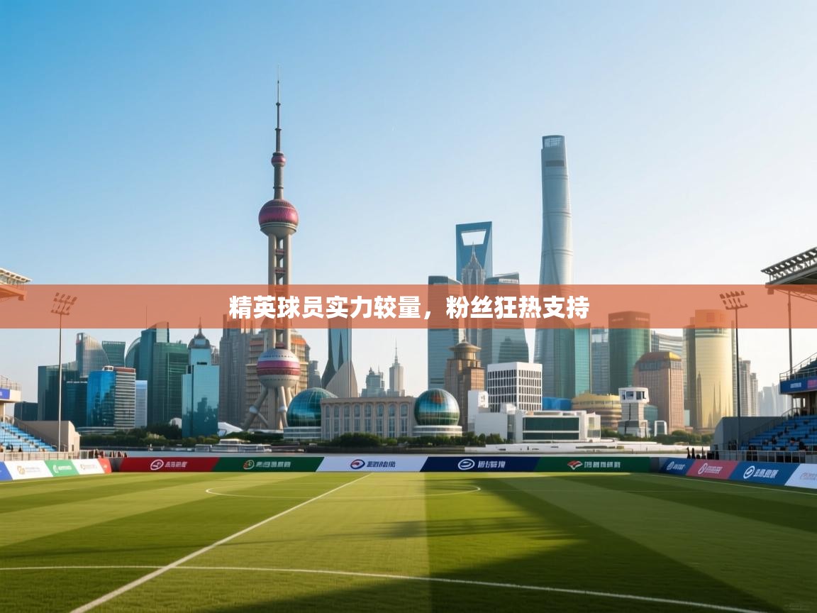 精英球员实力较量,粉丝狂热支持 第1张