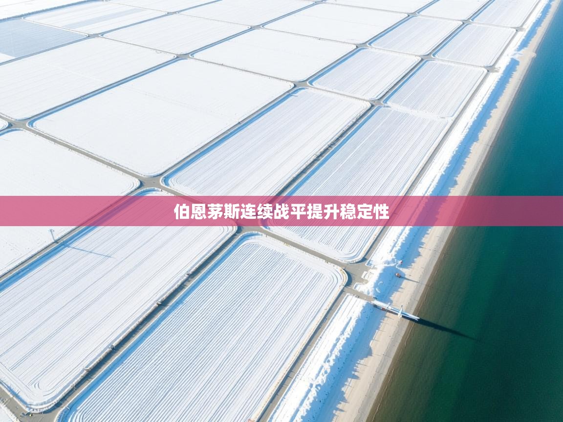 伯恩茅斯连续战平提升稳定性  第2张