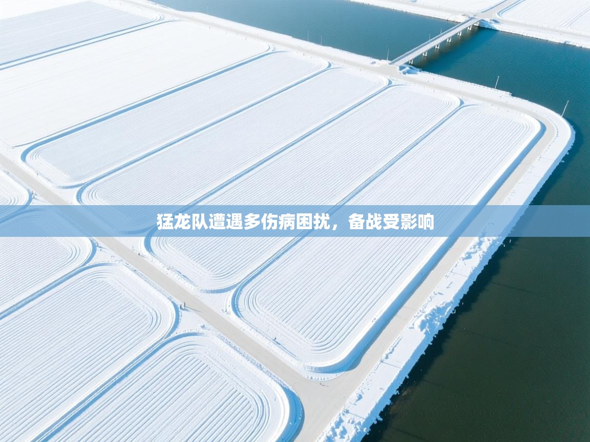 猛龙队遭遇多伤病困扰，备战受影响  第2张