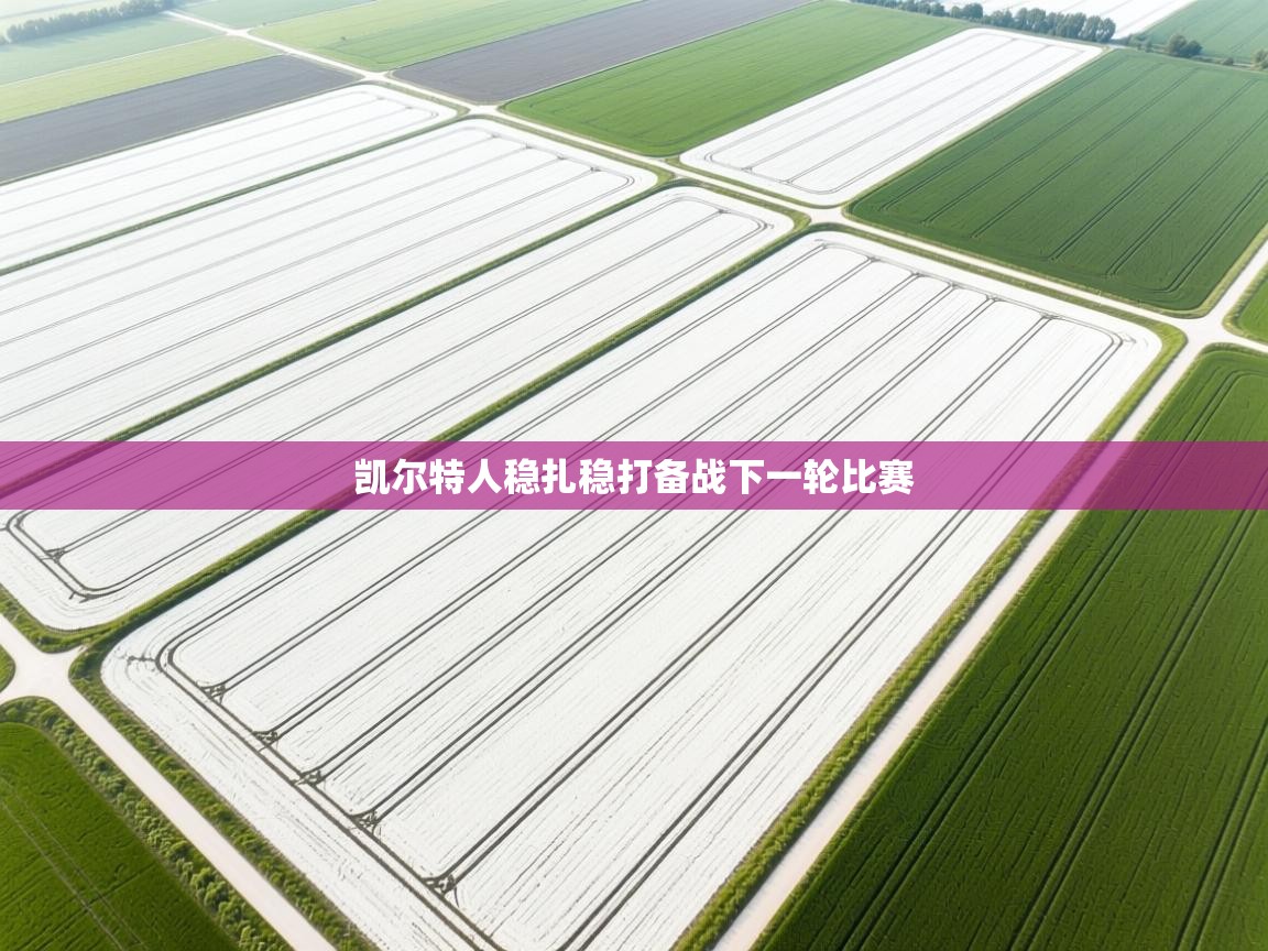 凯尔特人稳扎稳打备战下一轮比赛 第1张